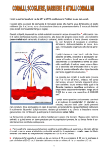 Geografia - CORALLI, SCOGLIERE, BARRIERE E ATOLLI CORALLINI