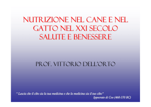 NUTRIZIONE NEL CANE E NEL GATTO NEL XXI SECOLO Salute e