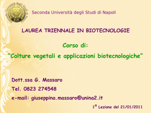 Diapositiva 1 - UniNa STiDuE