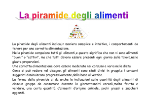 La piramide degli alimenti 1C