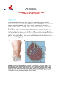 Sindrome del tibiale anteriore