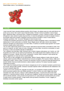 Dieta potenzia - muscoli