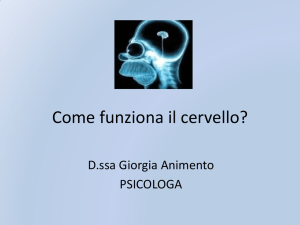 Come funziona il cervello?