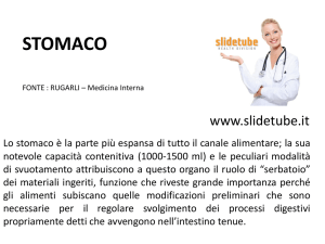 stomaco