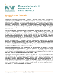 Macroglobulinemia di Waldenström - International Waldenstrom`s