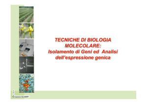 10 Isolamento genico (25)