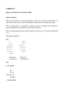 Capitolo 15 - Ateneonline