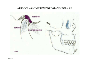 L`Articolazione Temporo-Mandibolare