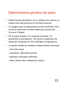 8-Eredit e sesso vert 09