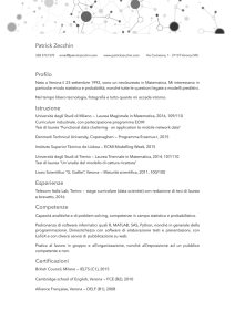 Curriculum breve - Patrick Zecchin