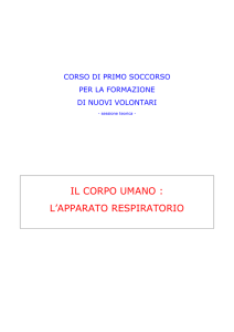 il corpo umano : l`apparato respiratorio