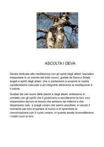 ascolta i deva - Il Cardo e la Rosa