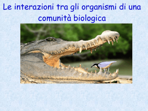 Interazioni tra organismi: competizione, predazione e altro