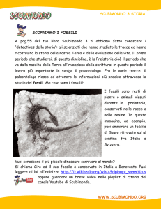 Scopriamo i fossili