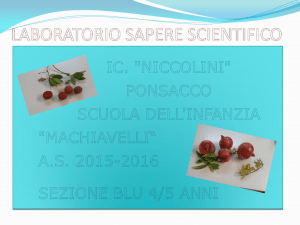 sezione Blu - progetto LSS: I frutti d`autunno