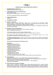1 RIASSUNTO DELLE CARATTERISTICHE DEL