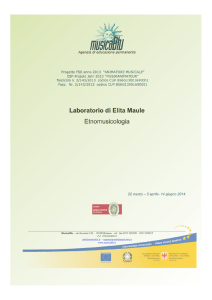 copertina etnom