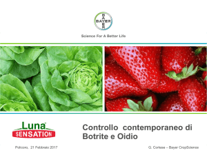 Luna Sensation e Serenade - Aipp, Associazione italiana per la