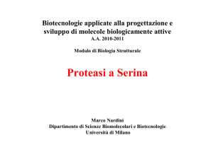 Proteasi a Serina - Web server per gli utenti dell`Università degli