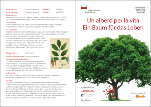 Un albero per la vita Ein Baum für das Leben