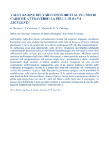 valutazione dei vari contributi al flusso di cariche attraverso la pelle