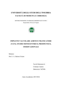 Visualizza/apri - Insubria Space