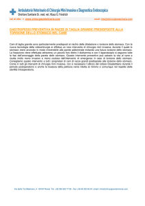 gastropessi preventiva in razze di taglia grande predisposte alla