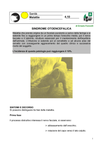 SINDROME OTOENCEFALICA Sanità Malattie 4.10