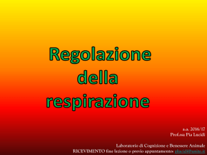 Regolazione della respirazione - Progetto e