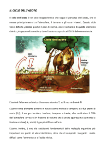 IL CICLO DELL`AZOTO