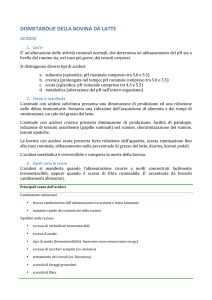 dismetabolie della bovina da latte