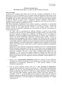 CINETICA ENZIMATICA: