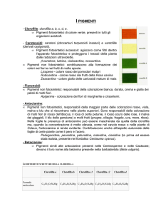d) PIGMENTI DELLE FOGLIE