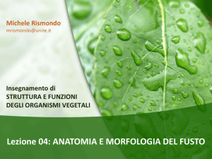 Diapositiva 1 - Progetto e