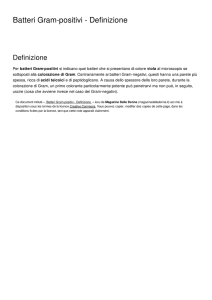Batteri Gram-positivi - Definizione