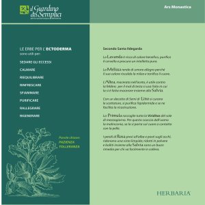 ectoderma - Herbaria