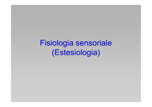 codice di frequenza