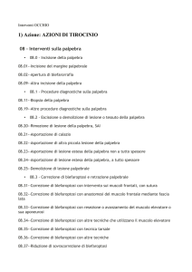 oftalmologia