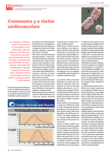 Cromosoma y e rischio cardiovascolare