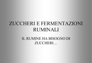Presentazione di PowerPoint