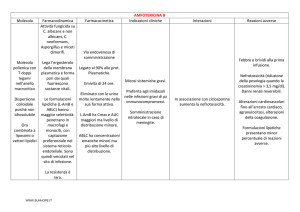 AMFOTERICINA B Molecola Farmacodinamica Farmacocinetica