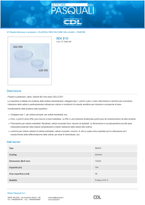 Descrizione Dati tecnici