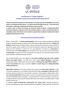 Comunicato stampa