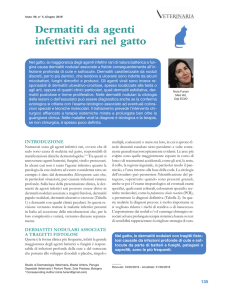 Dermatiti da agenti infettivi rari nel gatto