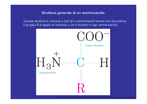 Struttura generale di un amminoacido.