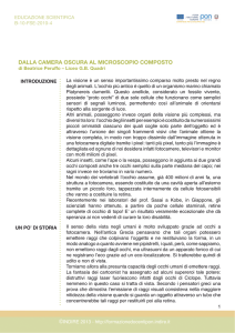Testo del filmato