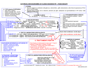 l`algoritmo di diagnosi FIP in italiano