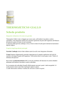 THERMOJETICS® GIALLO Scheda prodotto