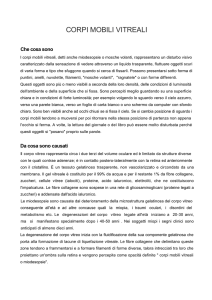 corpi mobili vitreali - Centro Oculistico G. Perone, Specialisti in