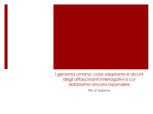 cosa sappiamo e alcuni affascinanti interrogativi a cui dobbiamo